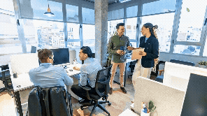 Customized services Glass fabric curtain